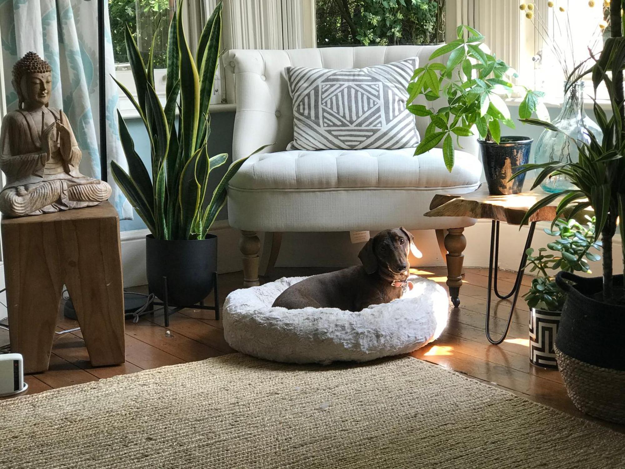 Dawn And Dudley The Sausage Dog'S Parkside Home Londra Esterno foto
